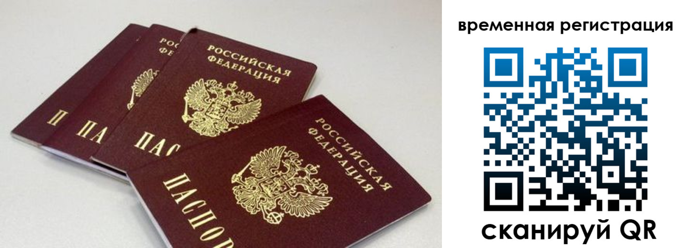 временная регистрация собственник в Волосово